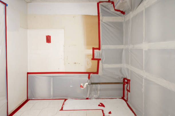 Best Airborne Mold Testing  in Sewaren, NJ