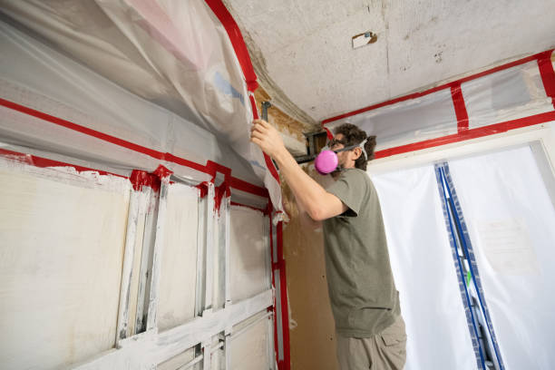 Best Post-Construction Mold Inspection  in Sewaren, NJ