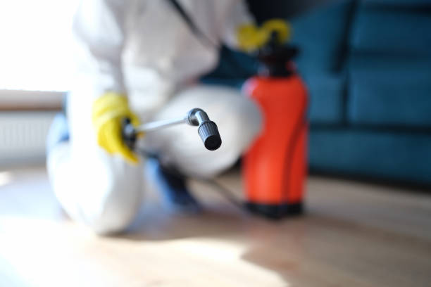Best Industrial Mold Remediation  in Sewaren, NJ