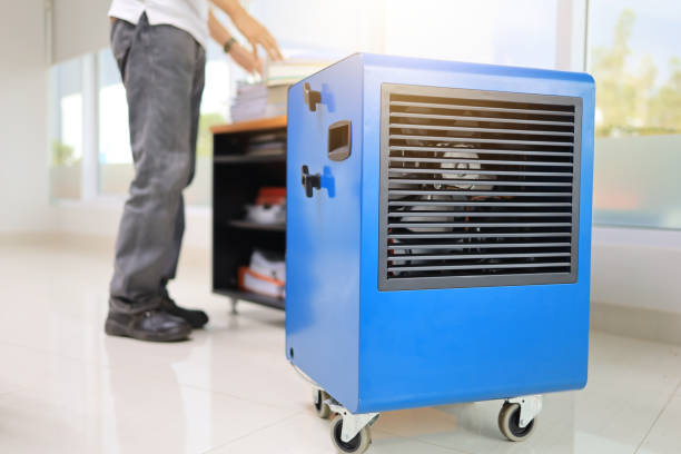 Best Mold Prevention Services  in Sewaren, NJ