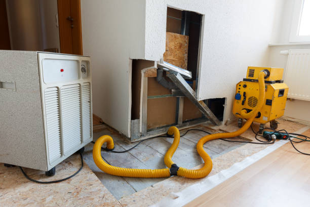Best Post-Remediation Verification Testing  in Sewaren, NJ