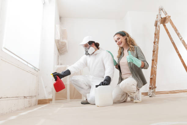 Best Mold Damage Restoration  in Sewaren, NJ