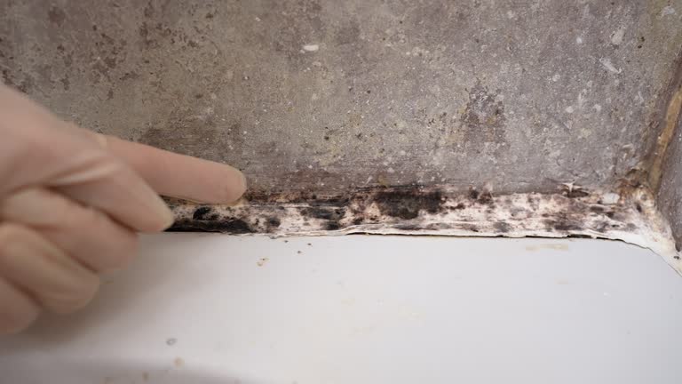 Best Dehumidification Services  in Sewaren, NJ